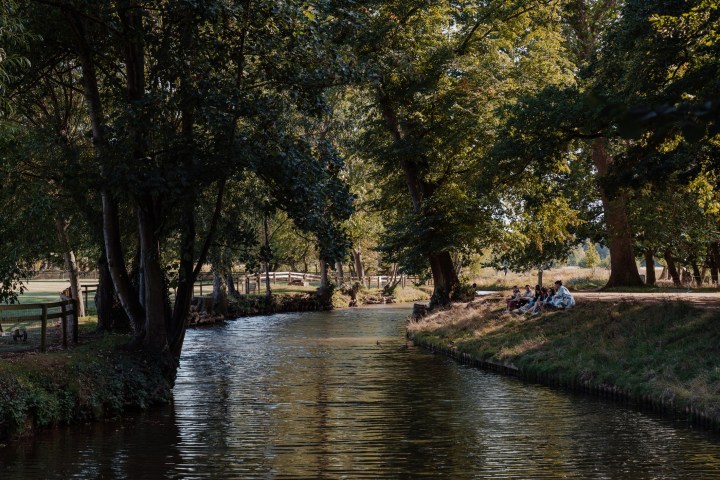 a canal running through a park filled with trees